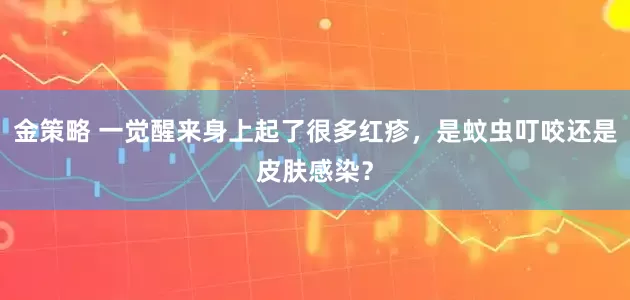金策略 一觉醒来身上起了很多红疹，是蚊虫叮咬还是皮肤感染？